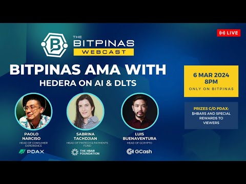 BitPinas AMA with Hedera Hashgraph on AI & DLTs | Webcast 42