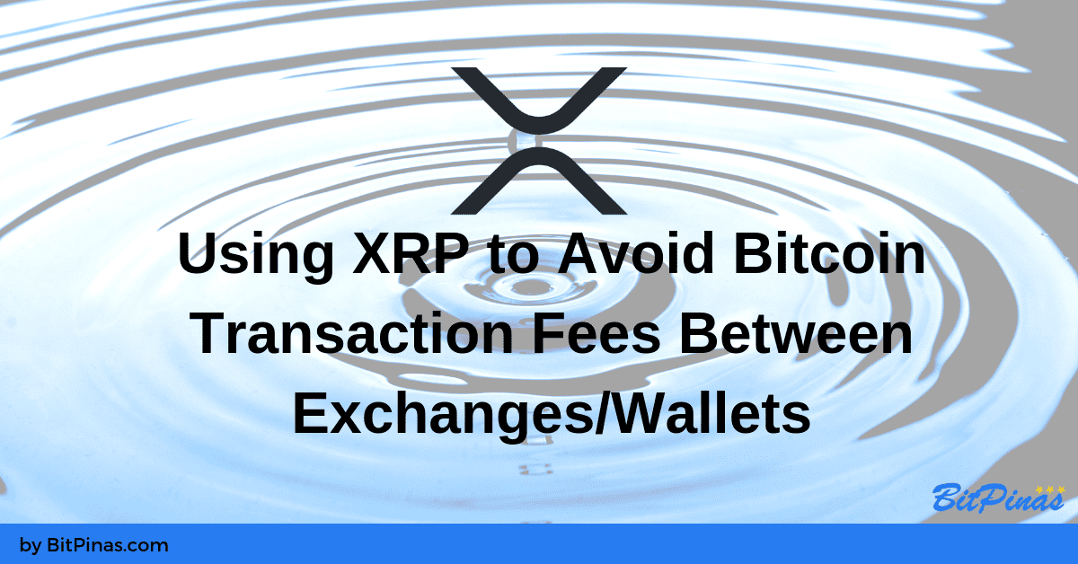 Photo for the Article - Using XRP to Avoid Crypto Transaction Fees Between Exchanges & Wallets