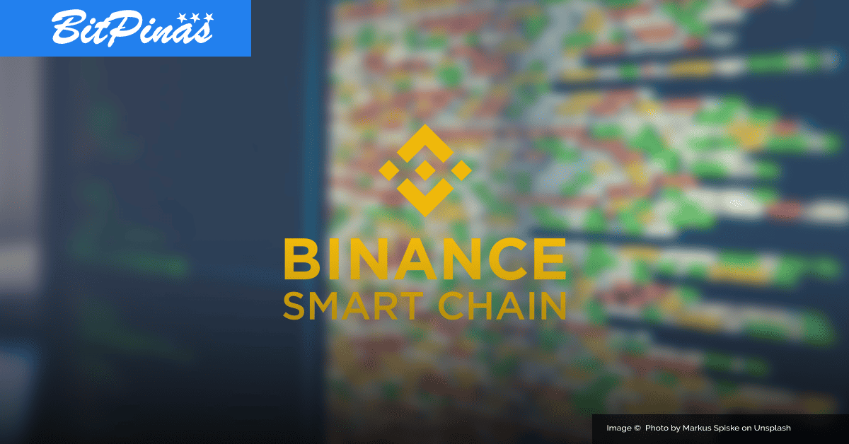 Photo for the Article - Beginners Guide to Binance Smart Chain: BSC Philippines Guide