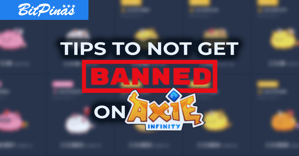 Photo for the Article - Tips How to Not Get Banned in Axie Infinity