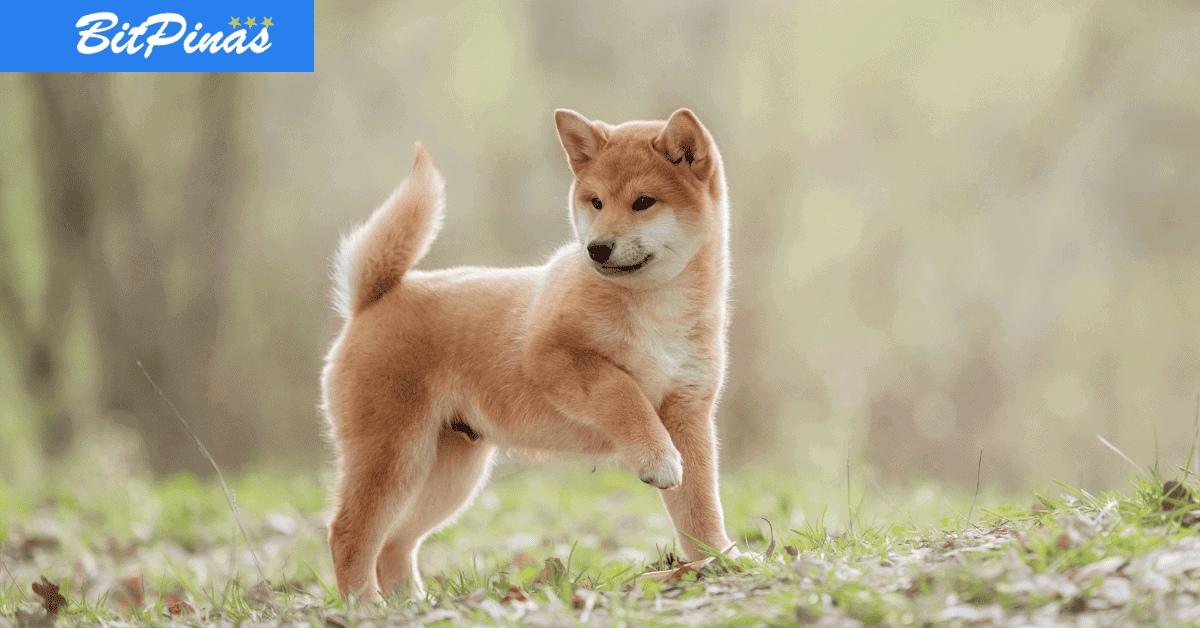 Photo for the Article - Shiba Inu hailed as Twitter’s Most Popular Cryptocurrency, besting Bitcoin, Ether, and Dogecoin