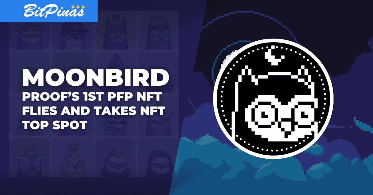 Photo for the Article - Proof’s 1st PFP NFT Moonbirds Flies and Takes NFT Top Spot