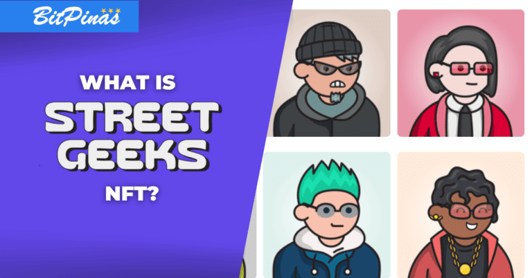 What is Street Geeks NFT?