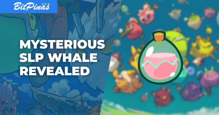 Owner of Whale Wallet that Holds 50% of the SLP Supply Revealed