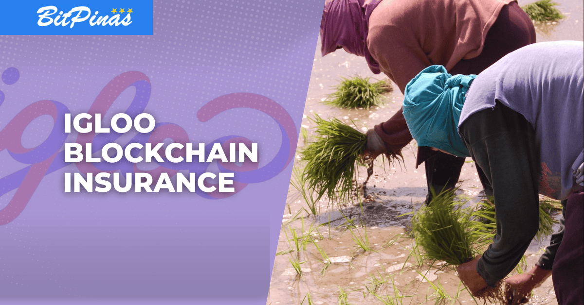 Photo for the Article - Igloo Introduces Blockchain-based Weather Index Insurance To ‘Ease Agriculture Pain’