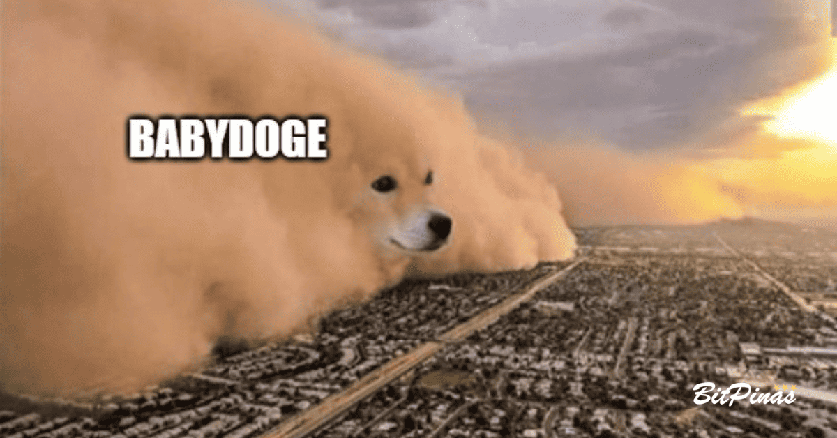 Photo for the Article - Baby Doge Coin Price Soars Over 100% in a Week | Baby Doge Price Philippines