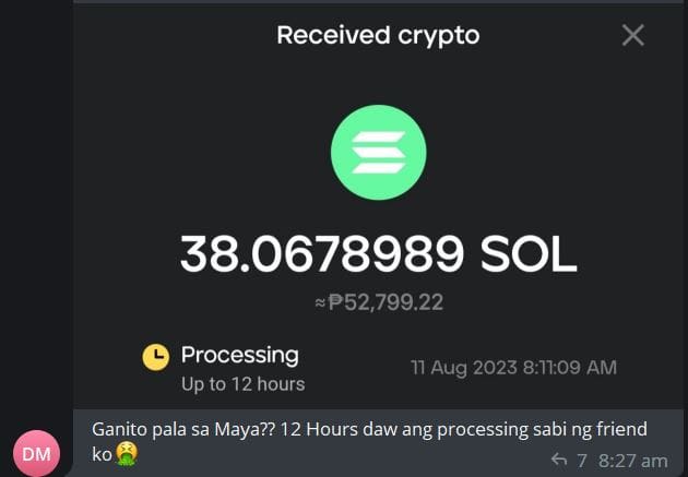 Photo for the Article - Maya Crypto Users Express Frustration Over Transaction Delays