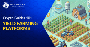 Top Liquidity and Yield Farming Platforms for 2026 for Pinoys: Maximize ...