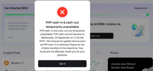 Photo for the Article - BSP Suspends Inbound InstaPay and PESONet Transfers for Coins.ph E-Wallet Operator